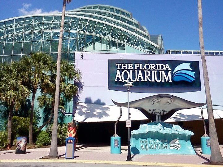 The Florida Aquarium